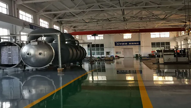 Projet de lyophilisation alimentaire de Linyi, Chine