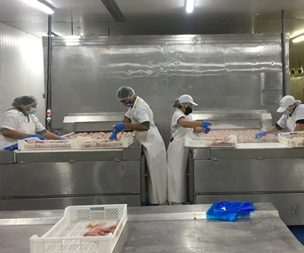 Projet de transformation de produits de la mer, Pérou