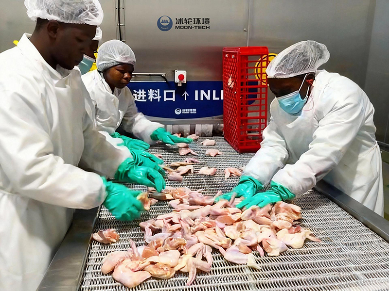 Projet d’équipement de surgélation à spirale pour BC Company, Afrique du Sud