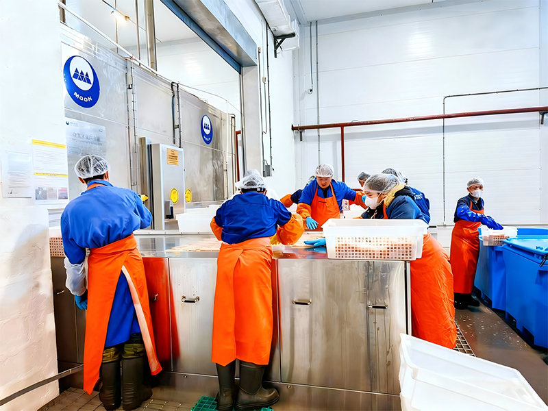Projet de surgélation sur plaques et de stockage frigorifique en Russie